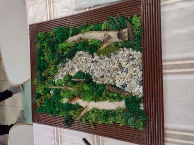 Chrobotek w roli głównej - warsztaty artystyczne z okazji Dnia Kobiet